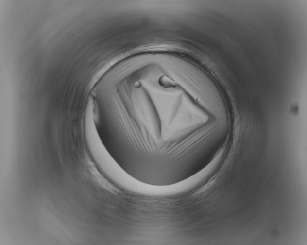 X0000111621417200908141307