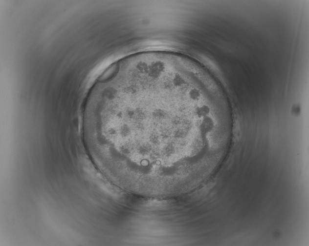 X0000111621419200908141307