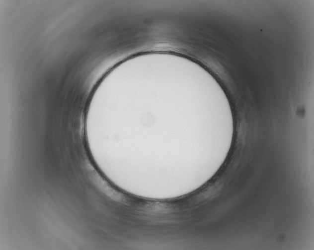 X0000111621420200908141307