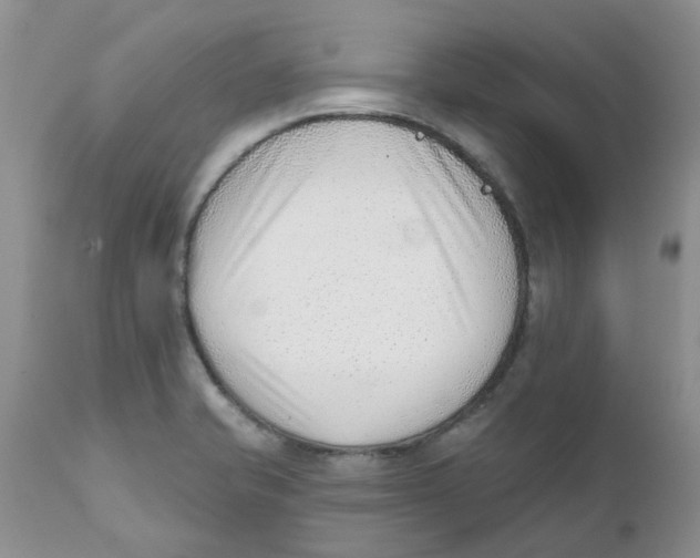 X0000111621421200908141307