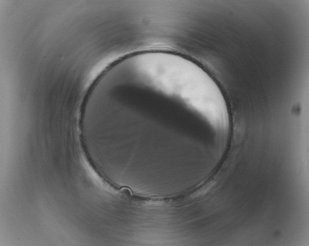 X0000111621422200908141307