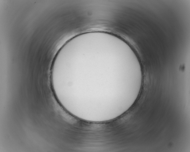 X0000111621423200908141307