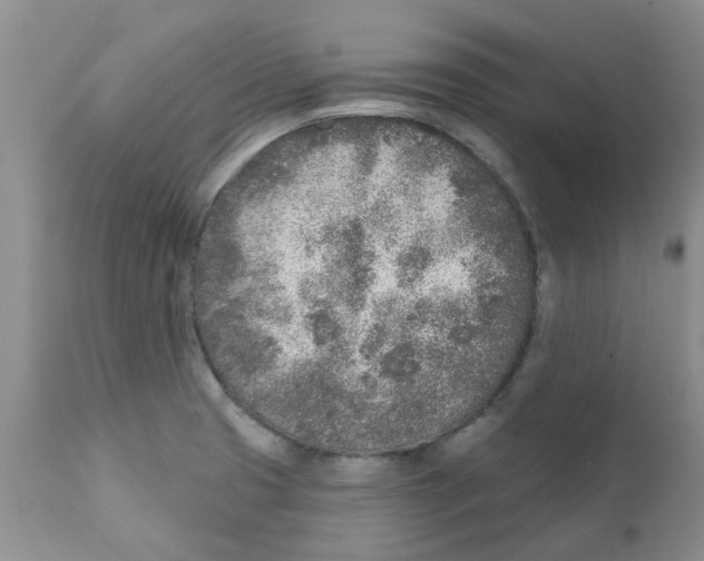 X0000111621425200908141307