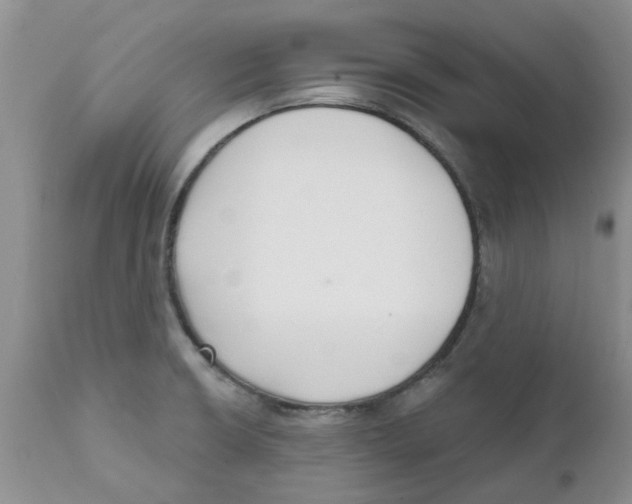 X0000111621426200908141307