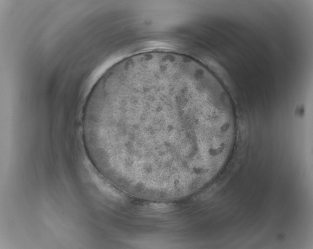 X0000111621427200908141307