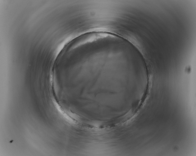 X0000111621428200908141307