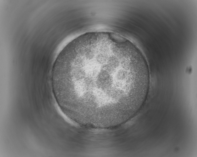 X0000111621429200908141307