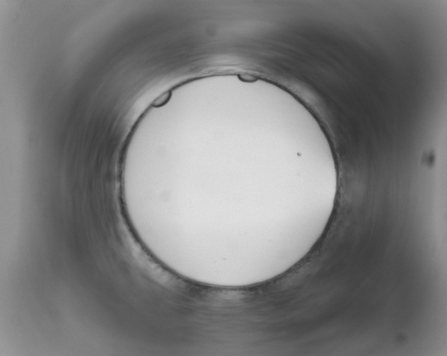 X0000111621431200908141307