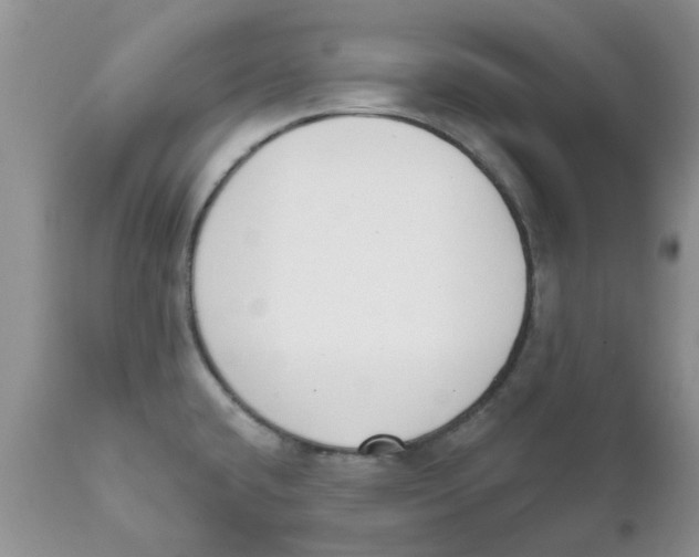 X0000111621432200908141307