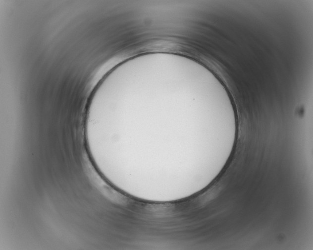 X0000111621434200908141307