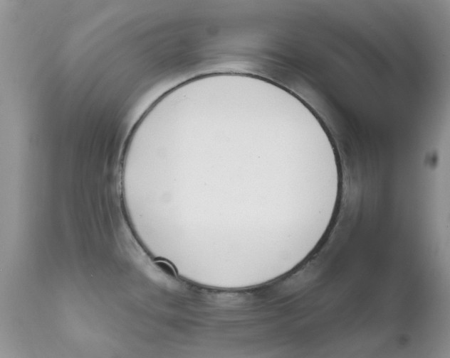 X0000111621436200908141308