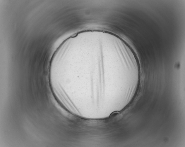 X0000111621437200908141308