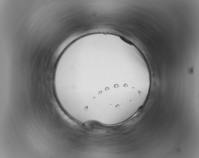 X0000111621438200908141308