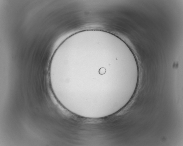 X0000111621440200908141308