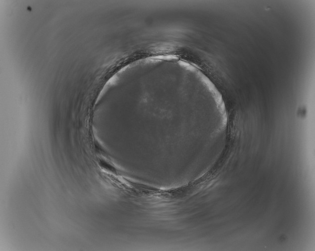 X0000111621441200908141307