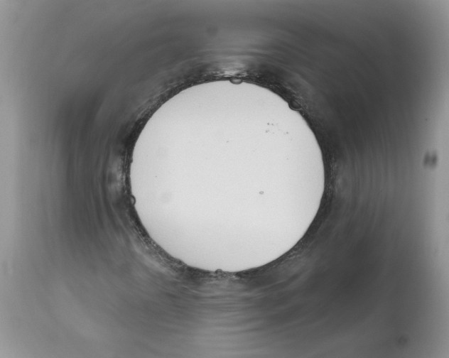 X0000111621442200908141307