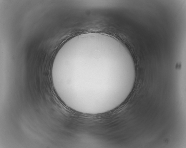 X0000111621444200908141307