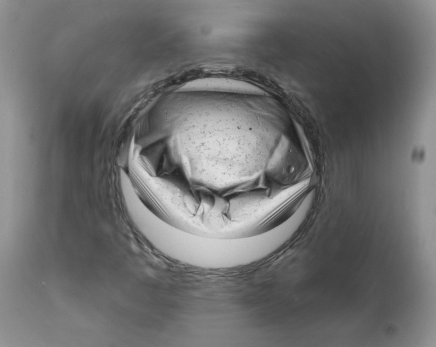 X0000111621445200908141307