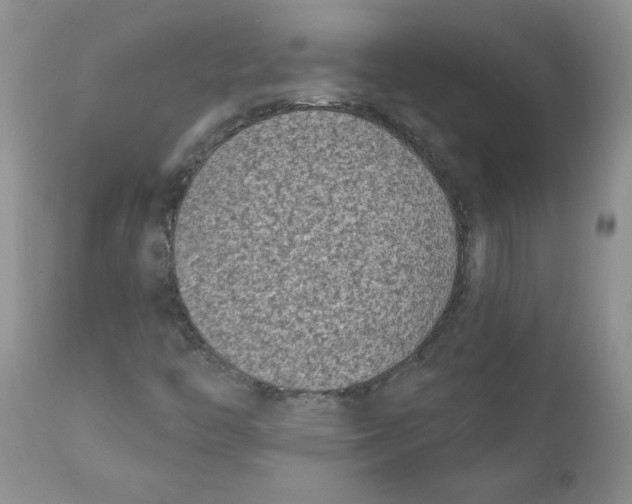 X0000111621446200908141307