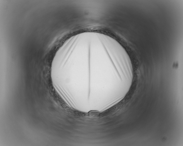 X0000111621447200908141306