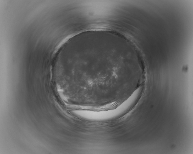 X0000111621449200908141306