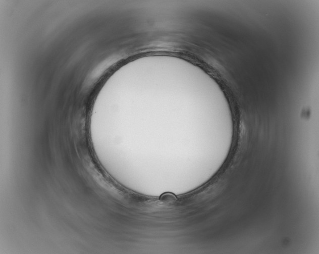 X0000111621450200908141306