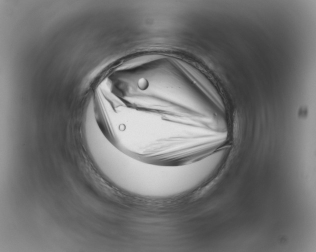 X0000111621453200908141306