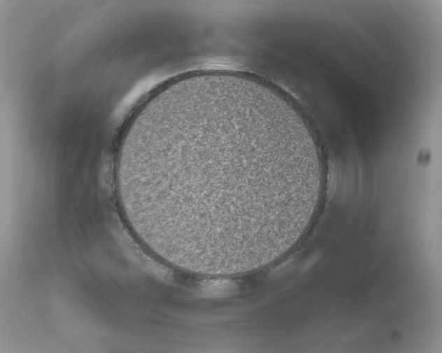 X0000111621454200908141306