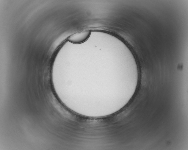 X0000111621458200908141306