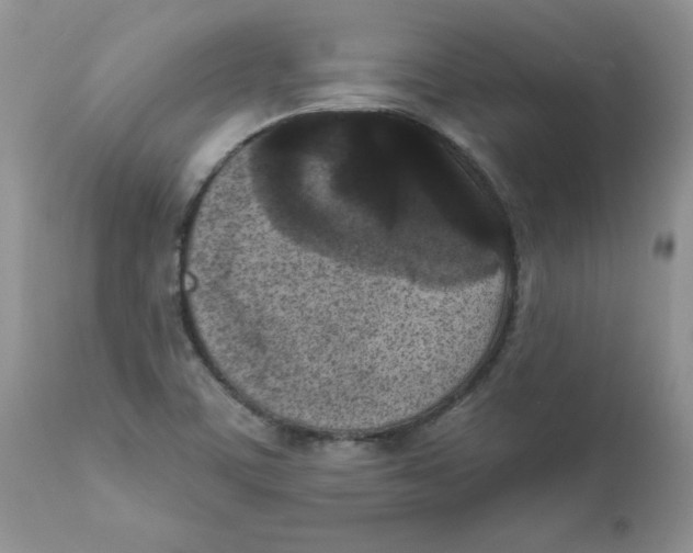 X0000111621459200908141306