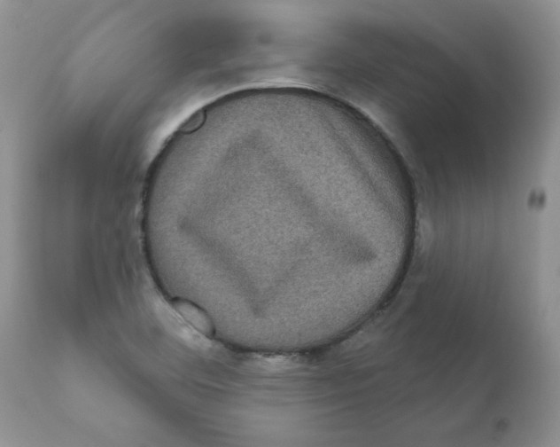 X0000111621460200908141306