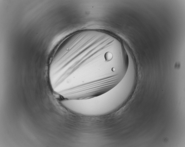 X0000111621461200908141306