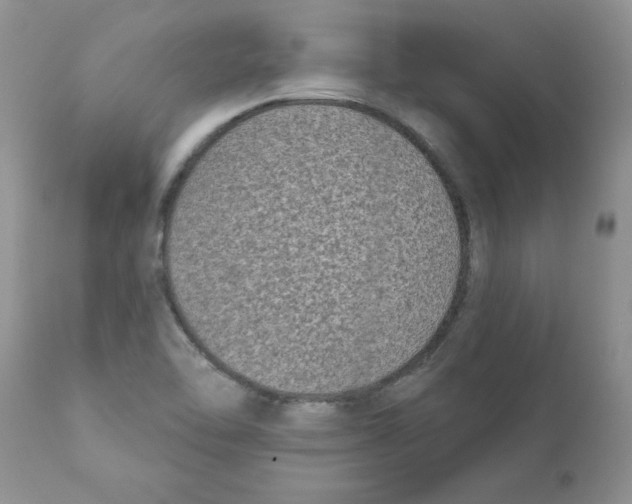 X0000111621462200908141306