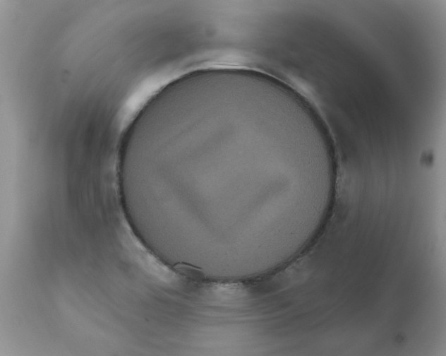 X0000111621464200908141306