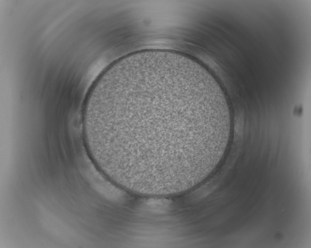 X0000111621466200908141306