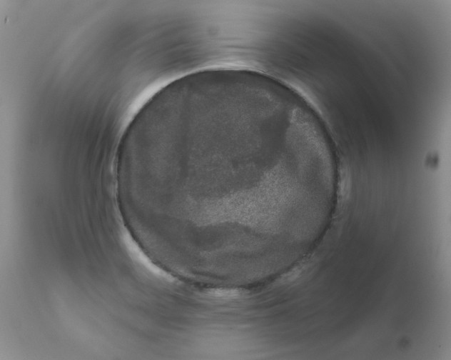 X0000111621468200908141306