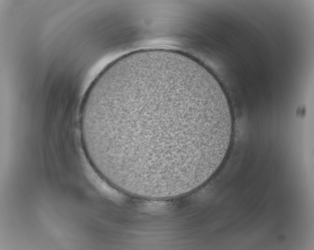 X0000111621470200908141306