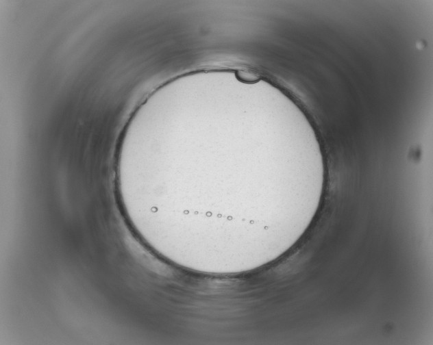 X0000111621471200908141306