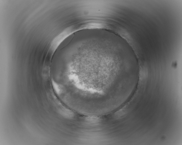 X0000111621473200908141306