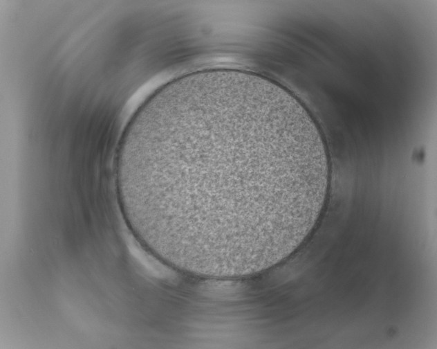 X0000111621474200908141306