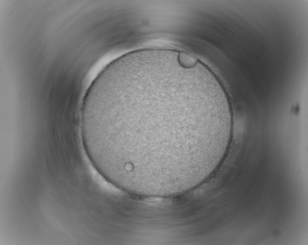 X0000111621478200908141306