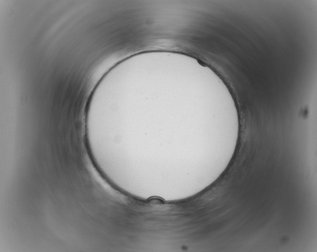 X0000111621479200908141306