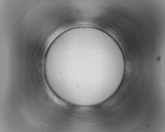 X0000111621482200908141306