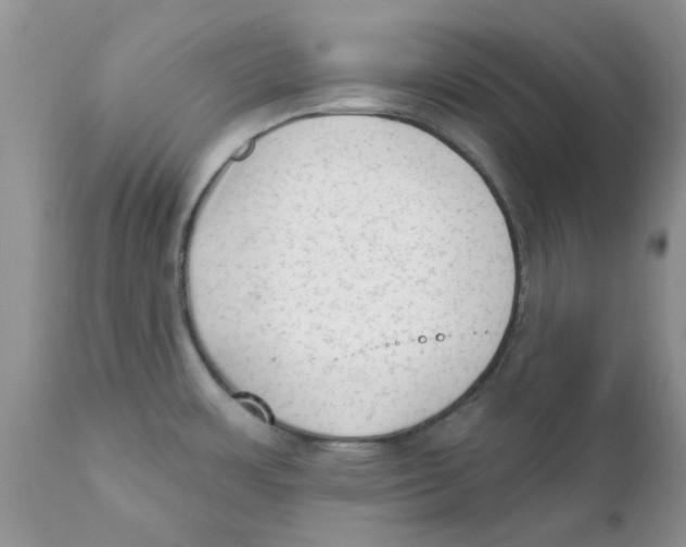 X0000111621483200908141306