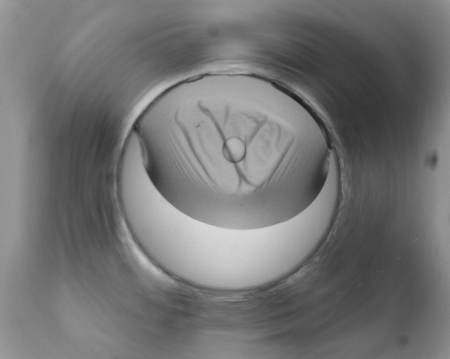 X0000111621484200908141306