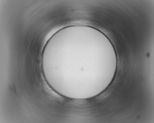 X0000111621486200908141306