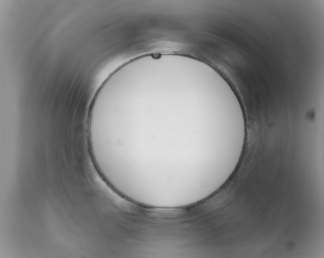 X0000111621487200908141306