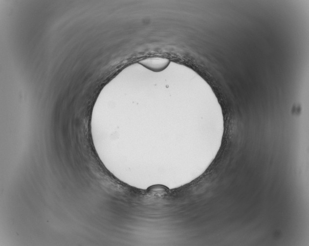 X0000111621489200908141305