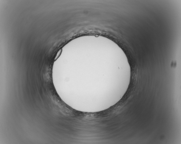 X0000111621490200908141305