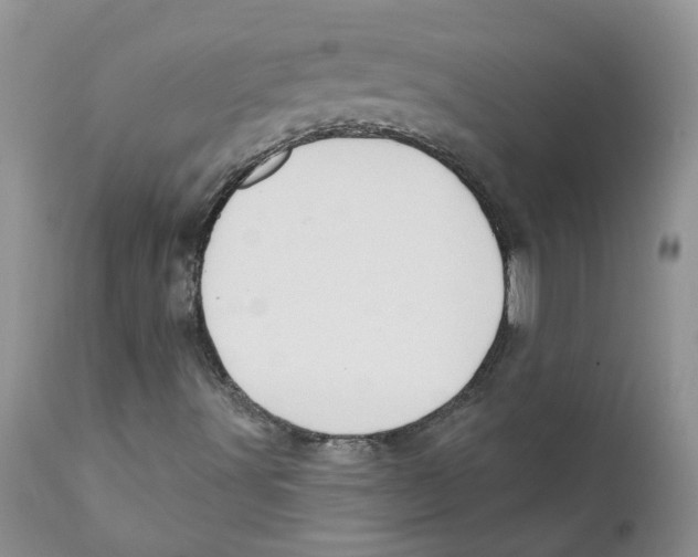 X0000111621491200908141305